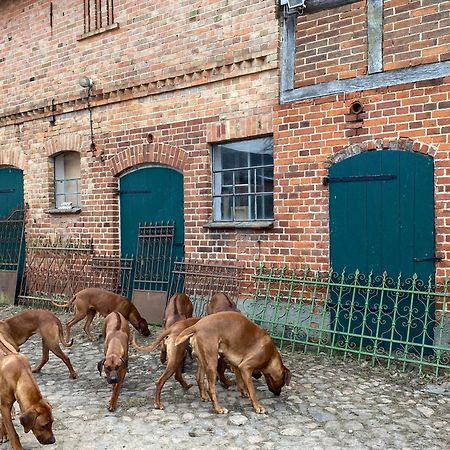 Bauernhof-Streichel-Zoo-Kombi-Familien-Suite-Im-Wald-Am-See Gulow Esterno foto